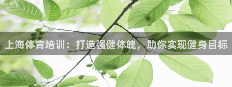 焦点娱乐负责人：上海体育培训：打造强健体魄，助你实现健身目标