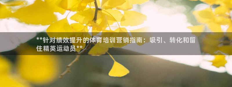 焦点娱乐股东是谁：**针对绩效提升的体育培训营销指南