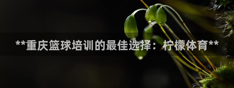 焦点娱乐传媒有限公司是干嘛的公司：**重庆篮球培训的