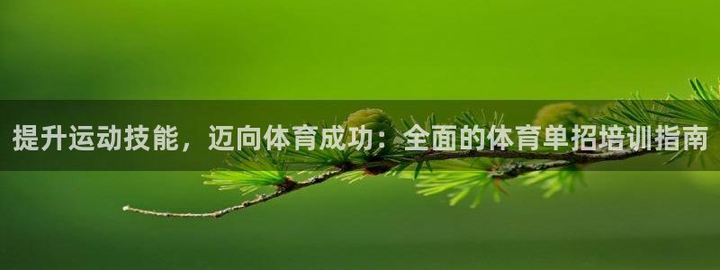 焦点娱乐公司的发展历程：提升运动技能，迈向体育成功：