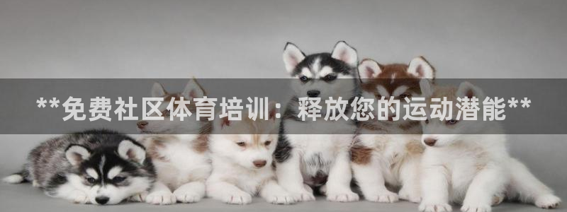焦点娱乐平台是正规的吗安全吗知乎：**免费社区体育培