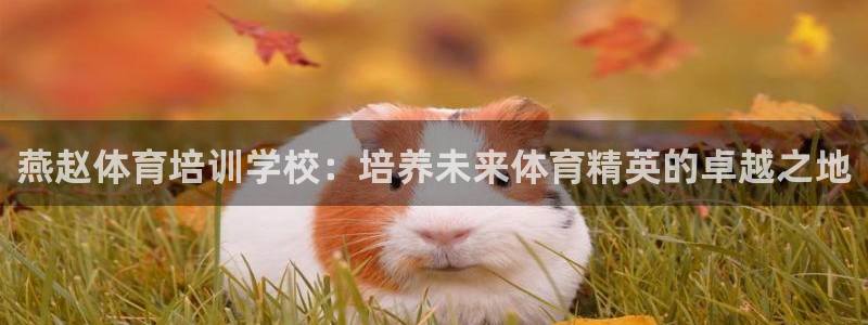 焦点娱乐传媒有限公司怎么样啊赚钱吗：燕赵体育培训学校：培养未