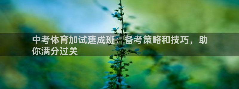 焦点娱乐平台是正规的吗安全吗：中考体育加试速成班：备
