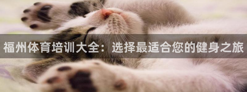 焦点娱乐平台总代理开户怎么样啊：福州体育培训大全：选