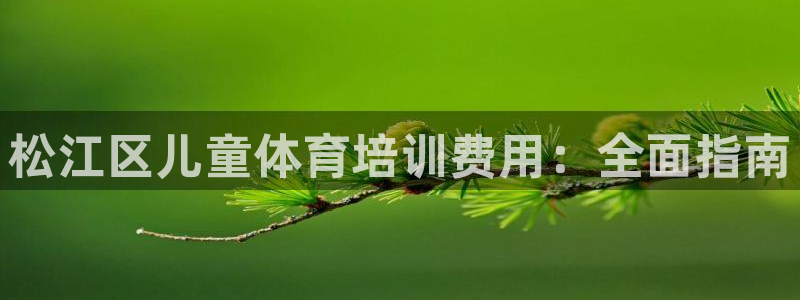 焦点娱乐软件版本：松江区儿童体育培训费用：全面指南
