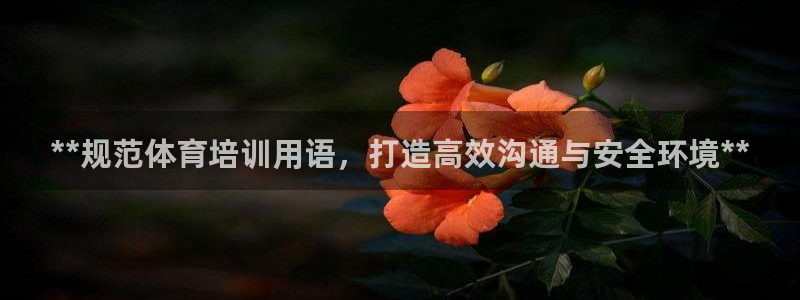 焦点娱乐app下载官网苹果手机：**规范体育培训用语，打造高