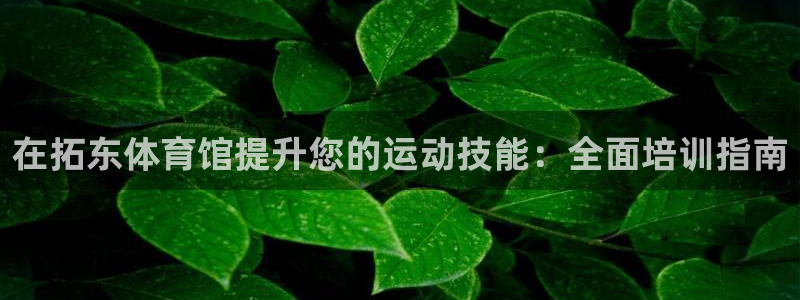 焦点娱乐是拉菲公司的吗是真的吗：在拓东体育馆提升您的运动技能