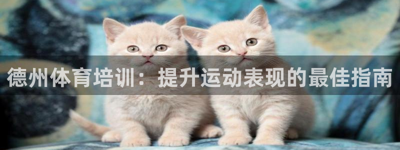 焦点娱乐游戏怎么玩：德州体育培训：提升运动表现的最佳指南