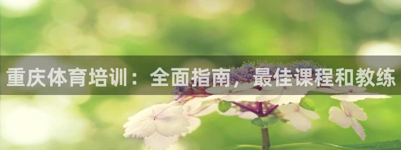 焦点娱乐开发商是谁：重庆体育培训：全面指南，最佳课程