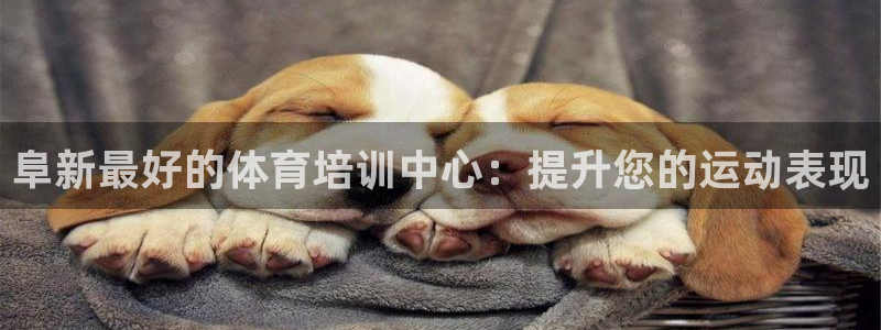 焦点娱乐平台果7O777：阜新最好的体育培训中心：提
