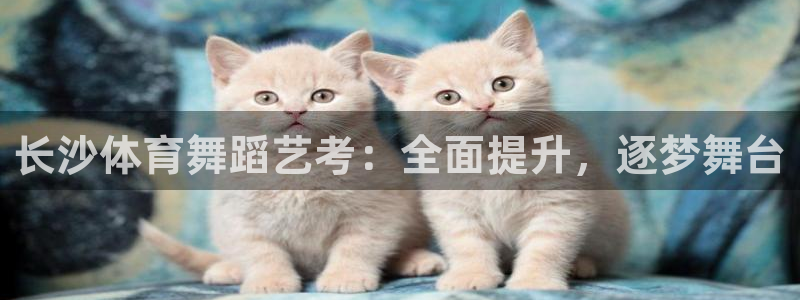 焦点娱乐无法提现到微信：长沙体育舞蹈艺考：全面提升，