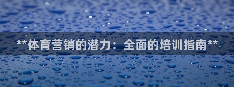 焦点平台娱乐：**体育营销的潜力：全面的培训指南**