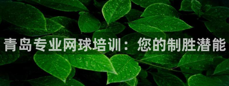 焦点娱乐力 411o31 焦点：青岛专业网球培训：您的制胜潜