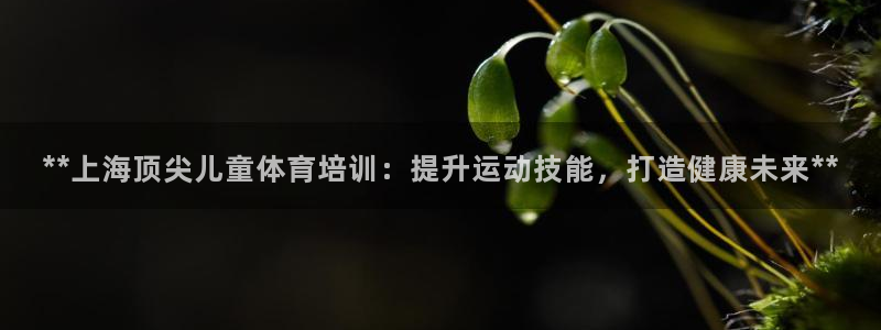 焦点娱乐跨服怎么玩：**上海顶尖儿童体育培训：提升运