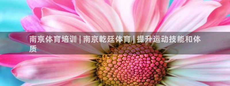 焦点娱乐平台客服热线电话号码：南京体育培训 | 南京