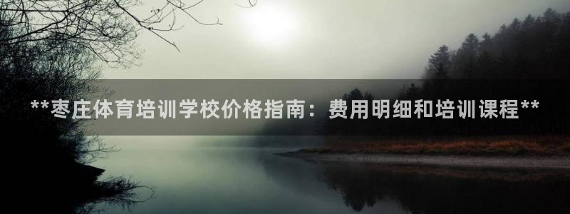 焦点娱乐公司是干嘛的：**枣庄体育培训学校价格指南：
