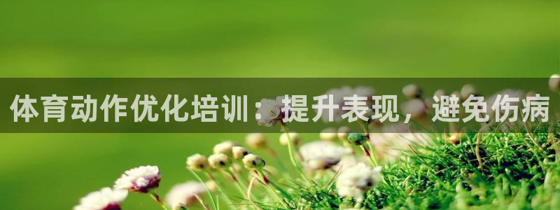 焦点娱乐是黑平台吗：体育动作优化培训：提升表现，避免