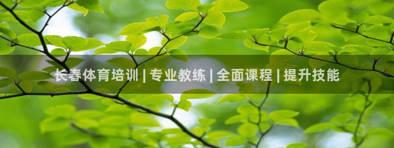 焦点娱乐app下载苹果版：长春体育培训 | 专业教练 | 全
