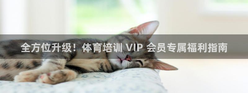 焦点娱乐平台注册账号是什么意思：全方位升级！体育培训