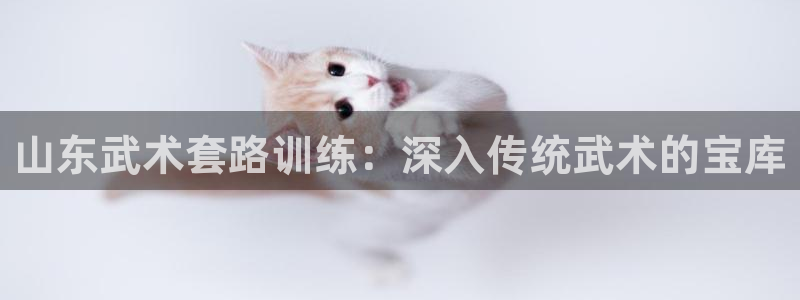 焦点娱乐官网下载安装手机版最新：山东武术套路训练：深入传统武