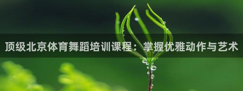 焦点娱乐vs皇族不败神话下载：顶级北京体育舞蹈培训课