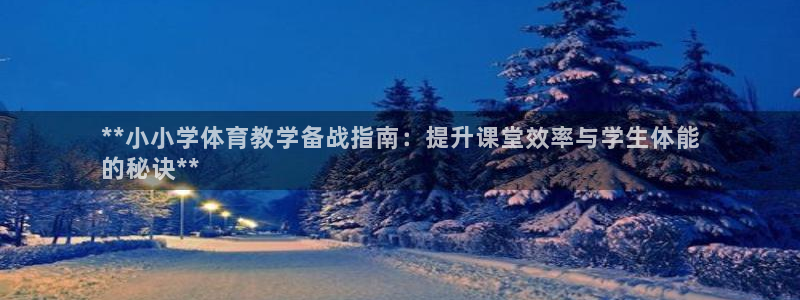 焦点娱乐公司：**小小学体育教学备战指南：提升课堂效
