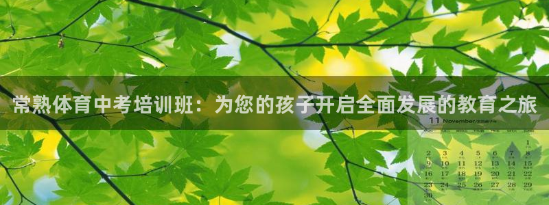焦点娱乐拉菲11月12日