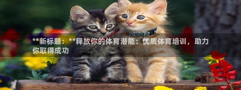 焦点娱乐app下载官网