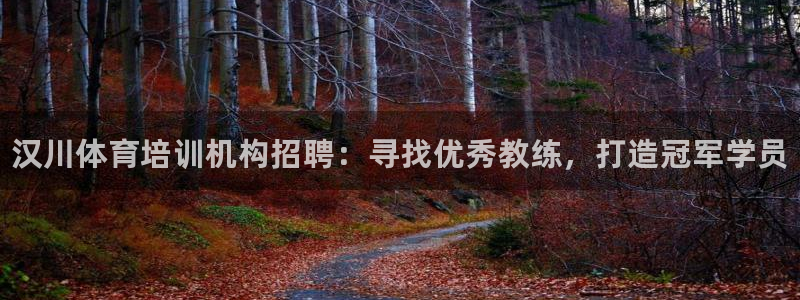 焦点娱乐平台客服电话号码是多少：汉川体育培训机构招聘：寻找优