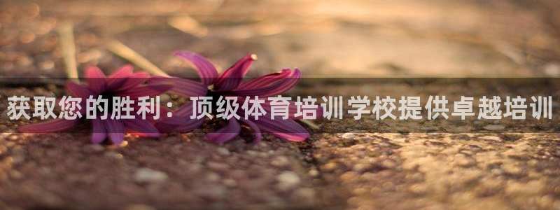 焦点娱乐拉菲11月9日：获取您的胜利：顶级体育培训学