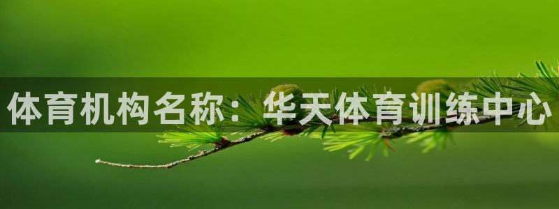 焦点娱乐官方网站首页入口下载