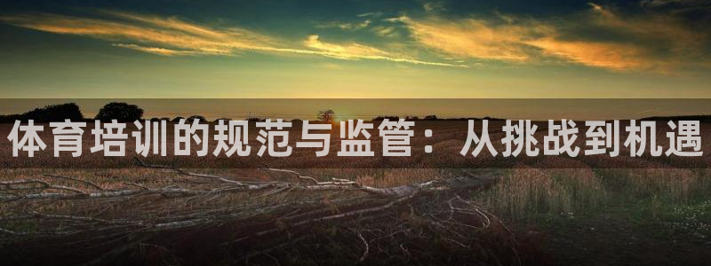焦点娱乐app下载官网苹果版：体育培训的规范与监管：从挑战到