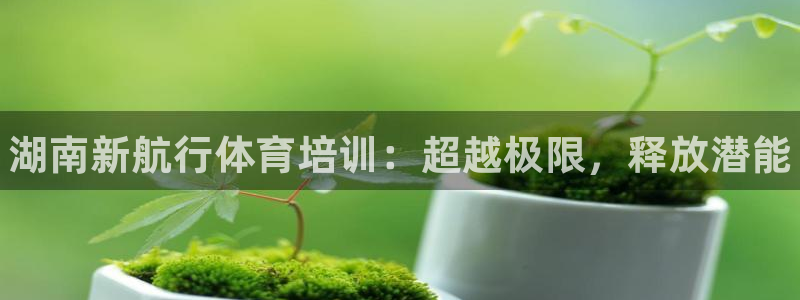 焦点娱乐游戏怎么玩：湖南新航行体育培训：超越极限，释放潜能