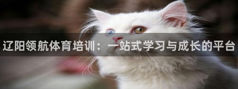 焦点娱乐官方网站首页下载安装：辽阳领航体育培训：一站