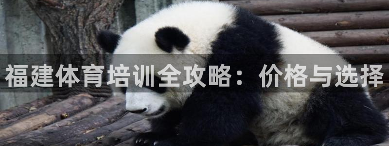 焦点娱乐平台怎么样赚钱：福建体育培训全攻略：价格与选