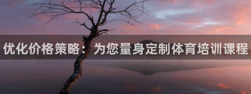 焦点娱乐是拉菲公司的吗是真的吗：优化价格策略：为您量