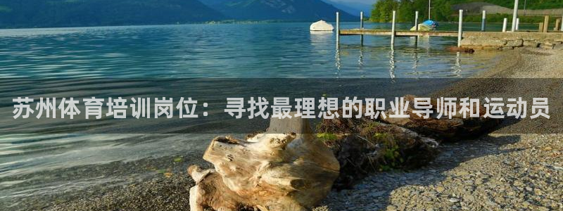 焦点娱乐平台怎么样赚钱：苏州体育培训岗位：寻找最理想