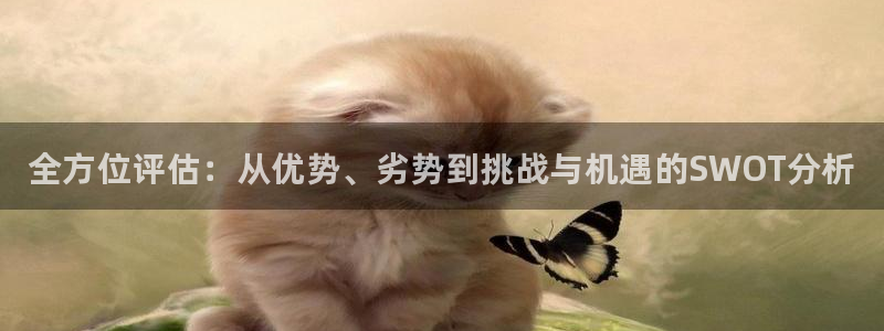 焦点娱乐门徒娱乐骗局曝光：全方位评估：从优势、劣势到