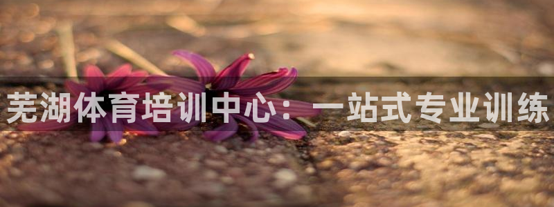 焦点娱乐是什么软件：芜湖体育培训中心：一站式专业训练