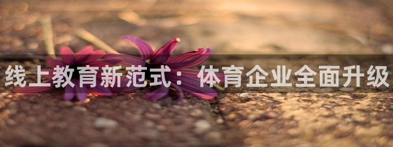 焦点娱乐平台是正规的吗